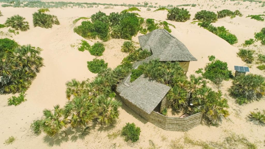 Kizingo Beach Eco Lodge image 2